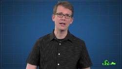 What If We Killed All the Wasps? Instructional Video