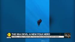 Deep-sea Anglerfish spotted on ocean's surface News Clip