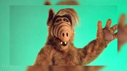 'ALF' TV Reboot in Early Development at Warner Bros. | THR News News Clip