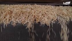 Inside Massive Factory Producing Billions of Matchsticks Every Year Instructional Video