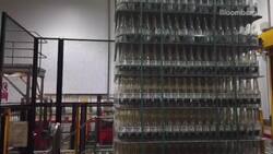 Carlos Brito Bloomberg New Economy Conversation News Clip