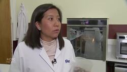 Dairy-free: Are you ready for bug butter? News Clip