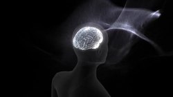 The Role of Emotions and Brain Chemistry in Decision-Making Instructional Video