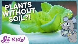 Growing Plants Without Soil! | Squeaks Grows a Garden! | SciShow Kids Instructional Video
