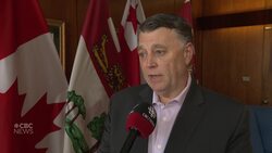 'A reprieve is not total relief': P.E.I. premier on 30-day tariff pause News Clip