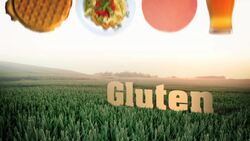 Should You Adopt a Gluten-Free Diet? Instructional Video