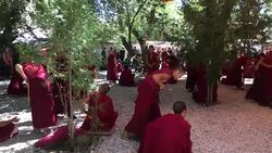 Tibetan monks are debating in Sera Monastery. Stock Footage