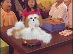 Items, Gifts and Responses in Mandarin Instructional Video