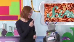 The Science of Fall | Compilation | SciShow Kids Instructional Video