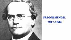 Genetics Explained: From Pea Plants to Tongue Rolling Instructional Video