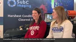 N.L. scientists search for elusive colossal squid in Antarctica News Clip