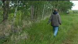 Calgary man detained in missing girl case not co-operating News Clip