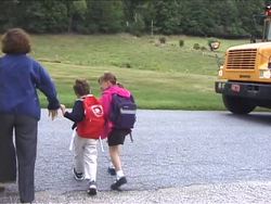 Vibrations and Waves: Vibrations and Sound Instructional Video