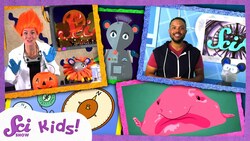 The Time Machine! | SciShow Kids Compilation Instructional Video