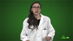 Fluid Dynamics and Aliens! (Okay, Not Really) | SciShow Quiz Show Instructional Video