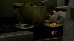 The Importance of Reflexes Instructional Video