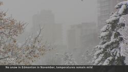 No-snow November in a usually very snowy Edmonton News Clip