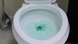 How to Fix a Running Toilet Instructional Video