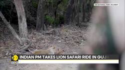 PM Modi promotes wildlife conservation, takes lion safari ride in Gujarat News Clip