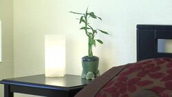 7 Ways to Put the Sizzle Back in Your Sex Life Instructional Video