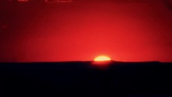 Lions: The King of the Great Cats Instructional Video