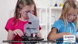 Why Does Swiss Cheese Have Holes In It? News Clip