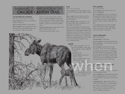 Reading in Science: Key Ideas Instructional Video