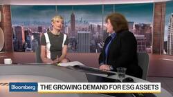 Investors Turn to ESG Stocks to Weather Climate Risks News Clip