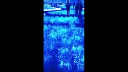 Watch Out For Dubai's Artificial Island Instructional Video