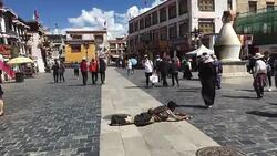 Pilgrim kneels piously on Barkhor Street. Stock Footage