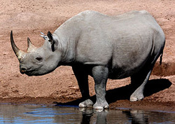 Namibia: Ecotourism Instructional Video