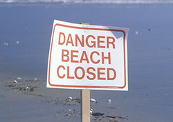 Oil Spills - Environmental Impact Instructional Video