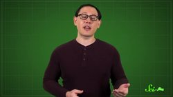 The Hamster That Saved Thousands of COVID Patients Instructional Video