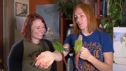 Adaptations at Animal Wonders - Field Trip Instructional Video