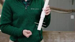 Mental Stimulation For Crows is Very Important! Watch This Amazing One Solve This Puzzle Instructional Video