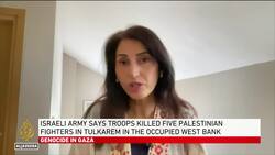 ‘No one protecting the Palestinians’, says Palestinian lawyer Instructional Video