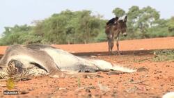Sudan: One of 10 countries most vulnerable to climate change News Clip
