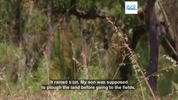 Portugese landowners face fines as wildfire inspections begin News Clip