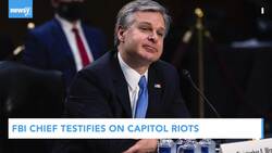 Newsy’s Latest Headlines News Clip