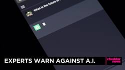 Center For AI Safety Issues Warning Against AI Development News Clip
