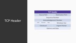 Wireshark D4 V2 - TCP Deep Dive Instructional Video