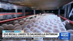 Salmonella outbreak linked to recalled eggs sickens 65 people across several states News Clip