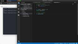 The Modern JavaScript Bootcamp (2019) - Multiple Arguments and Argument Defaults Instructional Video