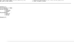 Selenium WebDriver Advanced - Industry Standard Framework - Advantages and Importance of Git Branches Instructional Video
