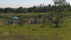 Aspiring archeologists explore dig site at Edworthy Park News Clip