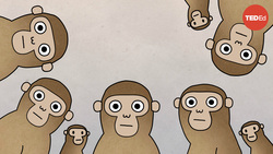 TED-Ed: How do we determine the value of a life? | Rebecca L. Walker Instructional Video