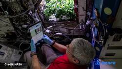 Can We Grow Plants On the Moon? Instructional Video