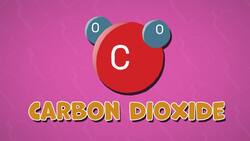 I WONDER - Why Is It Important To Recycle Glass? Instructional Video