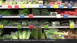 Freeland issues warning as rising interest rates cool economy News Clip