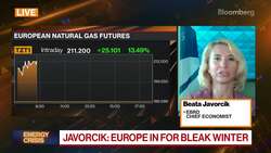 EBRD's Javorcik on Europe's Energy Crunch News Clip